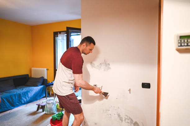 Best Local Mold Removal Service  in Tennille, GA