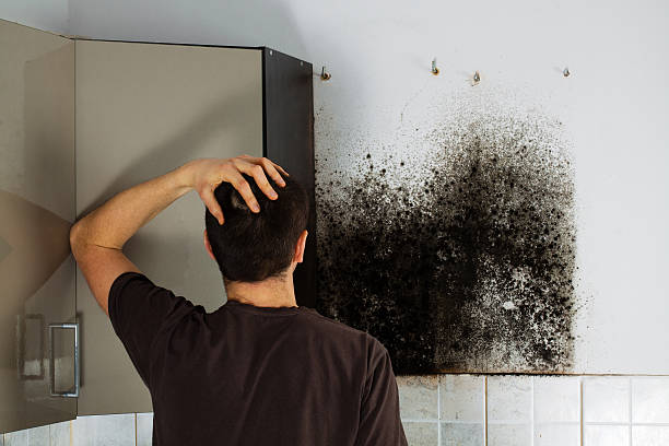 Best Mold Testing  in Tennille, GA